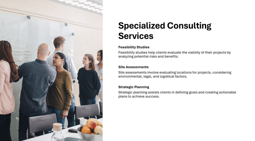 specialized consulting services